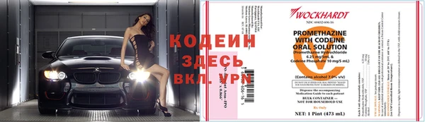 шишки Осташков