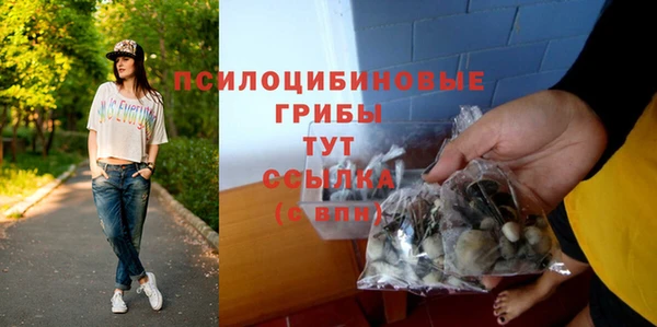 экстази Пестово