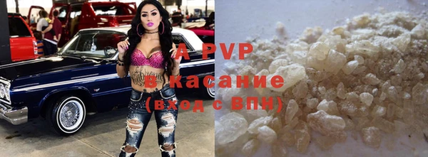 шишки Осташков