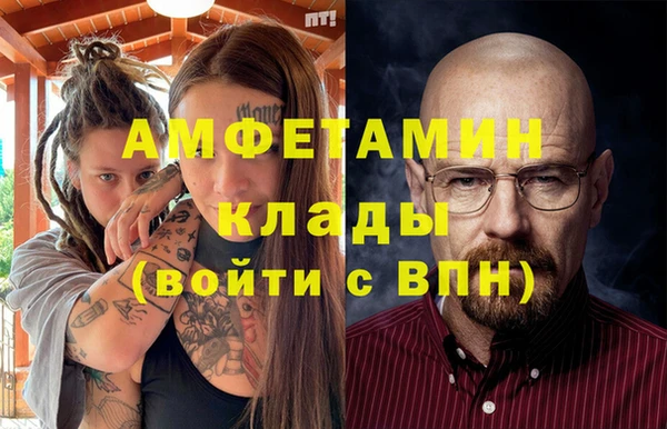 шишки Осташков