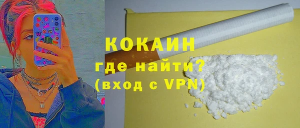 шишки Осташков