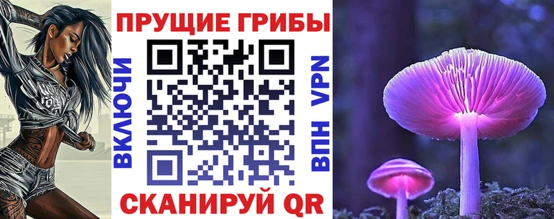 гидра Опочка Галлюциногенные грибы мицелий как найти